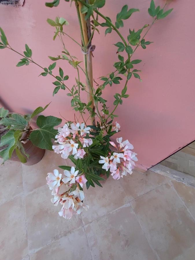 Privatunterkunft Maison Noe , Al Quaria , Ab40 *